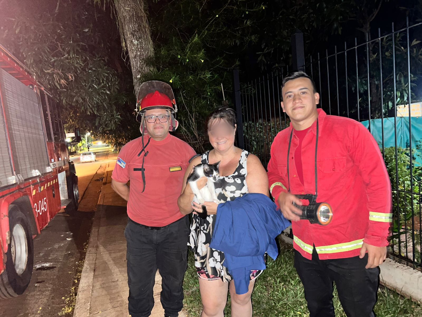 Rescataron a un gato que había quedado atrapado en lo alto de un árbol en Garupá 3